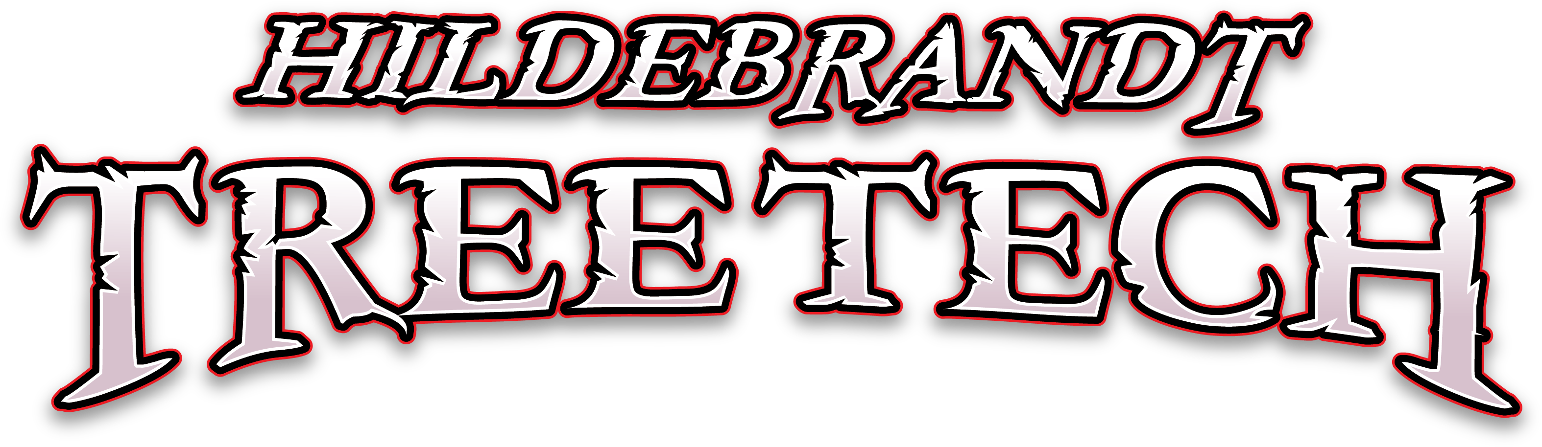 2019 Case Study Hildebrandt Tree Tech